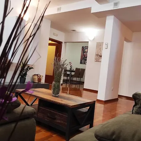 Spacious Near Center And The Apartment Split