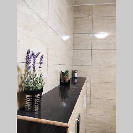 Apartment Spacious Near Center And The