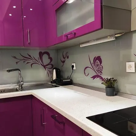 Spacious Near Center And The Appartement Split